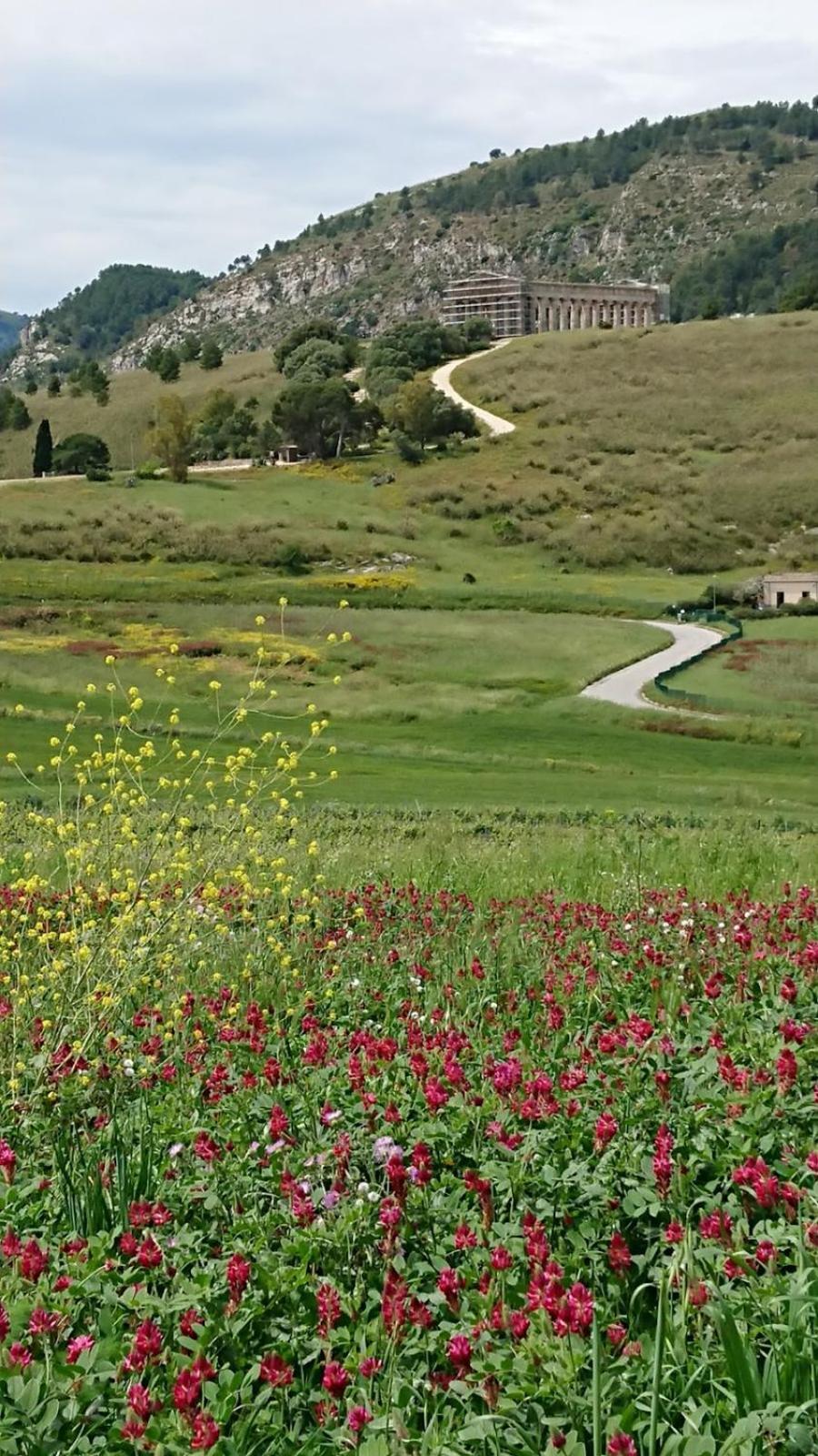Helimos Bed&Breakfast Segesta Temple-Castellammare Калатафими Екстериор снимка